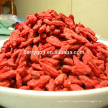 Nature Goji Fruit